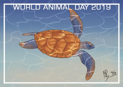 Portfolio piece - World Animal Day 2019